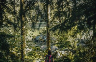 blog-grid-1-410x308