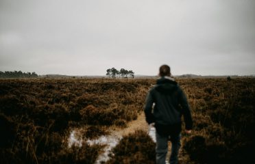blog-grid-1-410x308