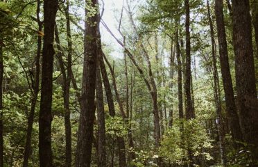 blog-grid-1-410x308